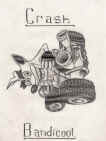 crash_team.jpg (58515 octets)