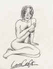 lara_croft.jpg (92562 octets)